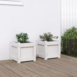 Jardinières 2 pcs blanc bois de pin massif alsavelo