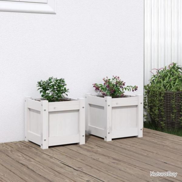 Jardinires 2 pcs blanc bois de pin massif