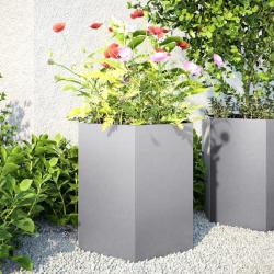 Jardinières 2 pcs hexagone 46x40x45 cm acier galvanisé alsavelo