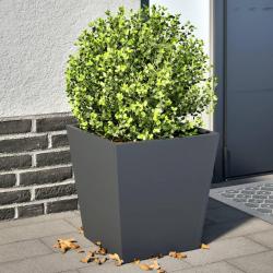Jardinières 2 pcs anthracite 40x40x40 cm acier alsavelo
