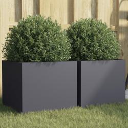 Jardinières 2 pcs anthracite 32x30x29 cm acier alsavelo