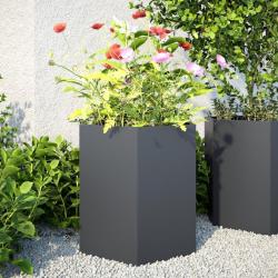 Jardinières 2 pcs anthracite hexagone 46x40x45 cm acier alsavelo