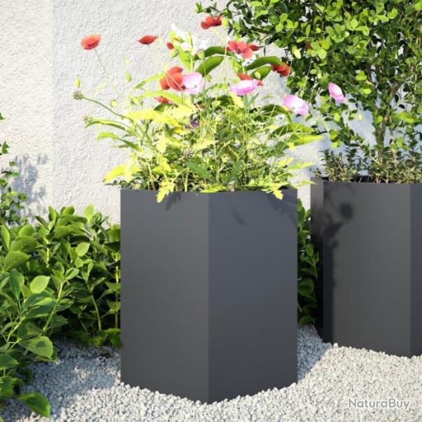 Jardinires 2 pcs anthracite hexagone 46x40x45 cm acier