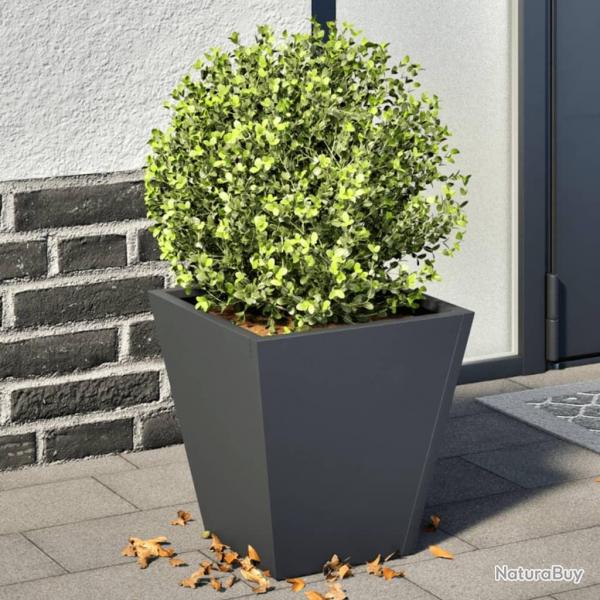 Jardinires 2 pcs anthracite 30x30x30 cm acier alsavelo