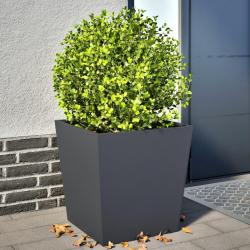 Jardinières 2 pcs anthracite 50x50x50 cm acier alsavelo