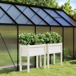 Jardinières 2 pcs avec pieds blanc bois de pin massif alsavelo