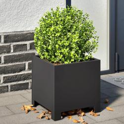 Jardinières 2 pcs noir 30x30x30 cm acier alsavelo