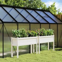 Jardinières 2 pcs avec pieds blanc bois de pin massif alsavelo