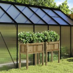 Jardinières 2 pcs avec pieds bois de pin imprégné alsavelo