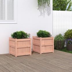Jardinières 2 pcs bois massif douglas alsavelo