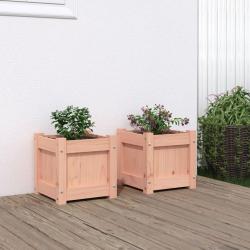 Jardinières 2 pcs bois massif douglas alsavelo