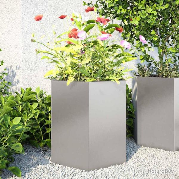 Jardinires 2 pcs hexagone 46x40x45 cm acier inoxydable alsavelo