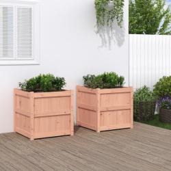 Jardinières 2 pcs bois massif douglas alsavelo