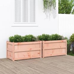 Jardinières 2 pcs bois massif douglas alsavelo