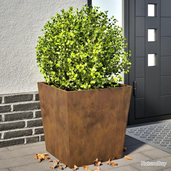 Jardinires 2 pcs 50x50x50 cm acier rsistant aux intempries alsavelo