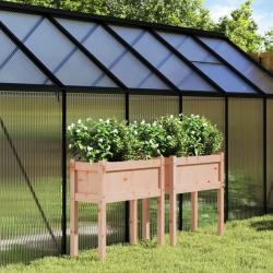 Jardinières 2 pcs avec pieds bois massif douglas alsavelo