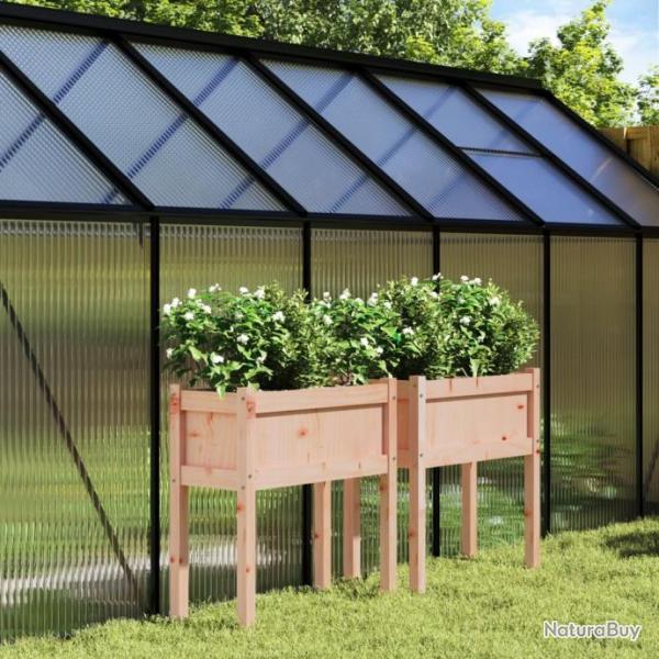 Jardinires 2 pcs avec pieds bois massif douglas