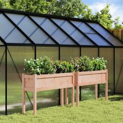 Jardinières 2 pcs avec pieds bois massif douglas alsavelo
