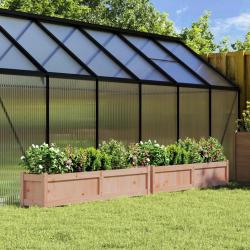 Jardinières 2 pcs bois massif douglas alsavelo