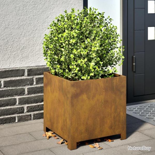 Jardinires 2 pcs 40x40x40 cm acier rsistant aux intempries alsavelo
