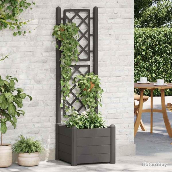 Jardinire avec treillis 43x43x142 cm PP Anthracite alsavelo