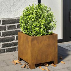 Jardinières 2 pcs 30x30x30 cm acier résistant aux intempéries alsavelo