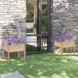 Jardinières d'extérieur 2 pcs 70x70x70 cm bois de pin massif alsavelo