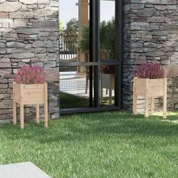 Jardinières d'extérieur 2 pcs 40x40x70 cm bois de pin massif alsavelo