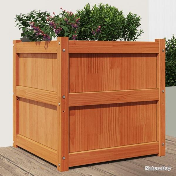 Jardinire cire marron 60x60x60 cm bois de pin massif alsavelo