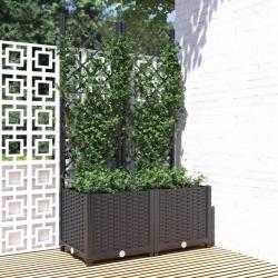 Jardinière avec treillis Noir 80x40x136 cm PP alsavelo