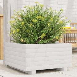 Jardinière blanc 50x50x26,5 cm bois de pin massif alsavelo