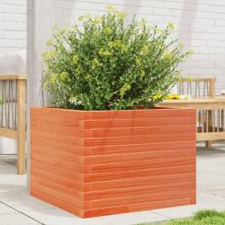 Jardinière cire marron 60x60x45,5 cm bois de pin massif alsavelo