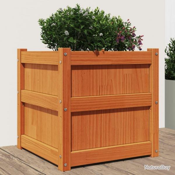 Jardinire cire marron 50x50x50 cm bois de pin massif alsavelo