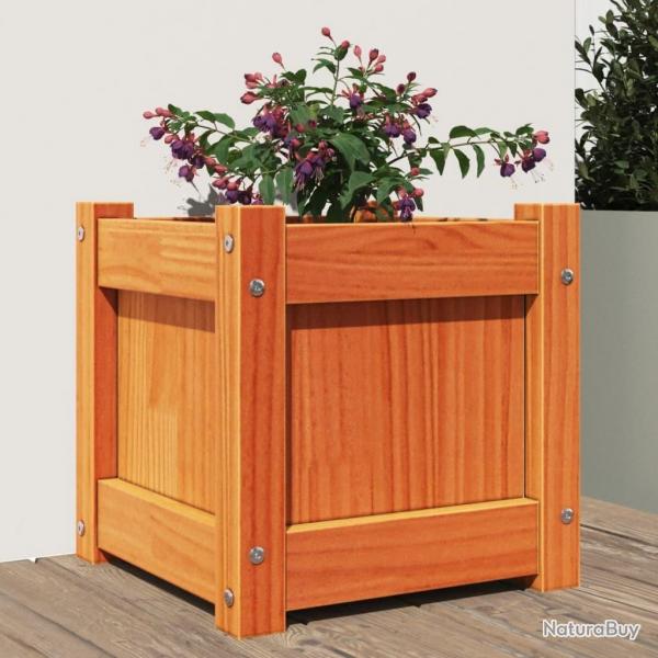 Jardinire cire marron 31x31x31 cm bois de pin massif alsavelo