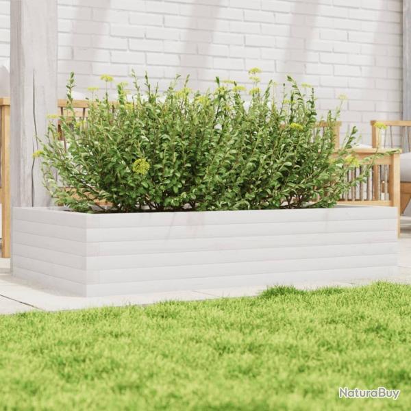Jardinire blanc 110x60x23 cm bois de pin massif alsavelo