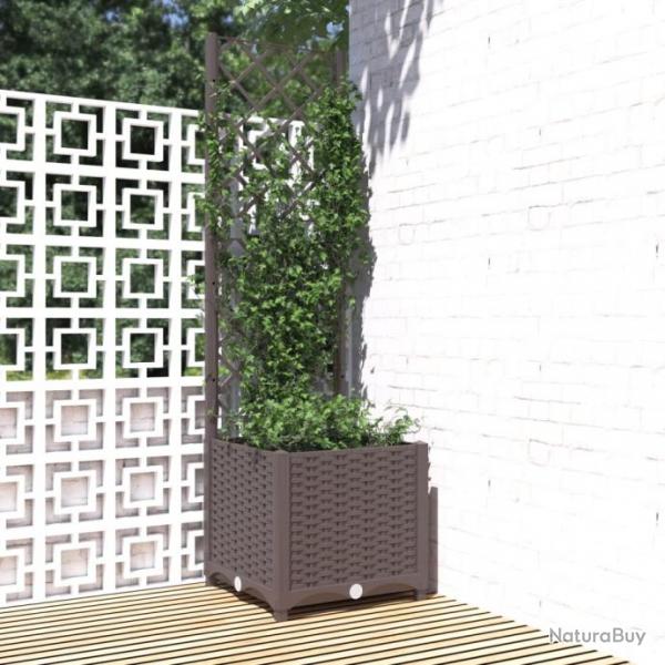 Jardinire avec treillis Marron 40x40x136 cm PP