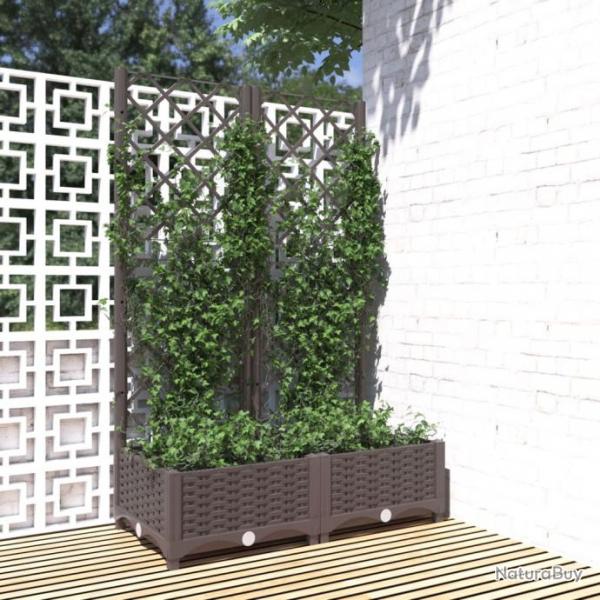 Jardinire avec treillis Marron 80x40x121,5 cm PP