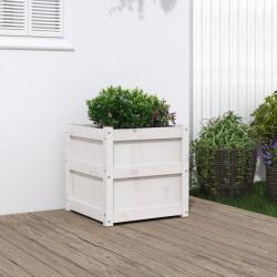 Jardinière blanc 50x50x50 cm bois de pin massif alsavelo