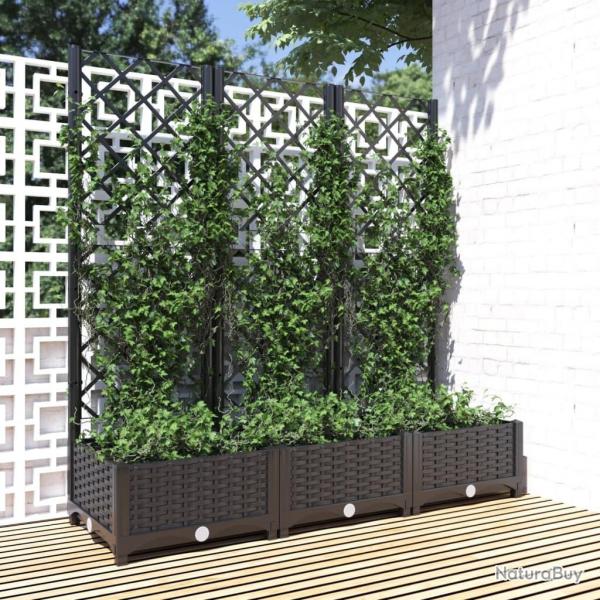 Jardinire avec treillis Noir 120x40x121,5 cm PP alsavelo