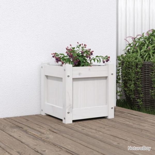 Jardinire blanc 31x31x31 cm bois de pin massif