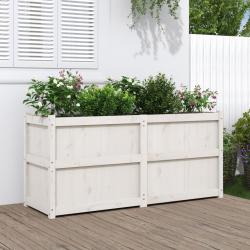 Jardinière blanc 150x50x70 cm bois de pin massif alsavelo