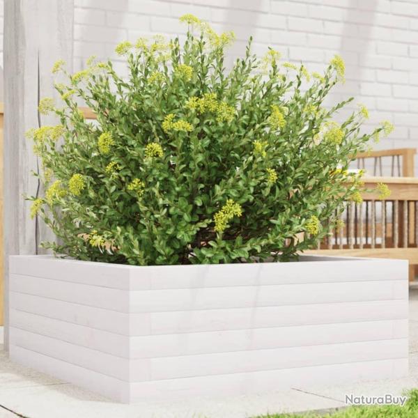 Jardinire blanc 60x60x23 cm bois de pin massif alsavelo