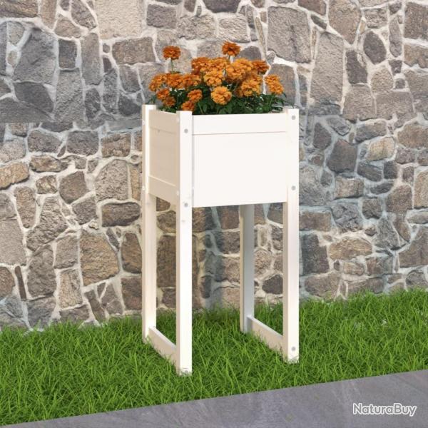 Jardinire Blanc 40x40x81 cm Bois massif de pin alsavelo