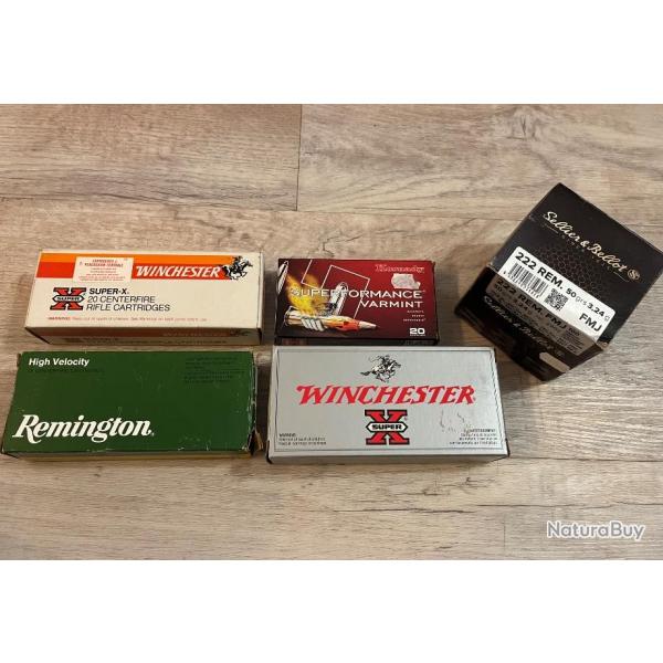 Lot munitions 222REM