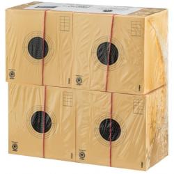 1000 cibles en cartons de 10 x 10 cm