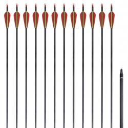 Flèche d'arc recourbé standard 12 pcs 30" 0,76 cm carbone alsavelo
