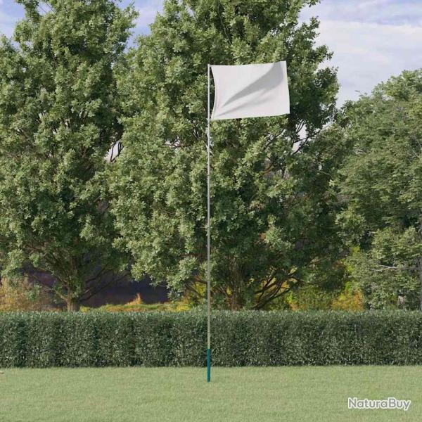 Mt de drapeau tlescopique Argent 5,55 m Aluminium alsavelo