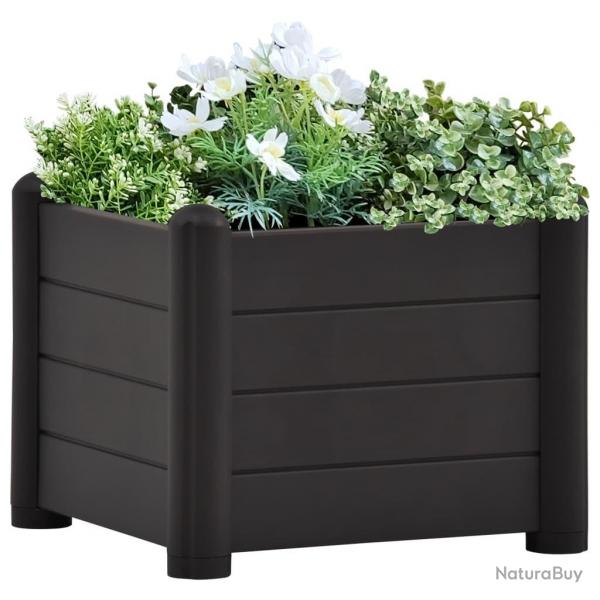 Lit surlev de jardin PP Anthracite 43x43x35 cm alsavelo