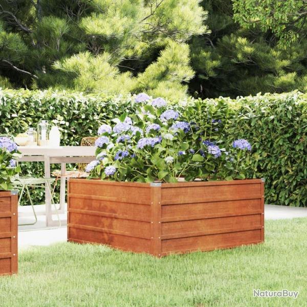 Lit surlev de jardin rouill 100x100x45 cm acier corten alsavelo