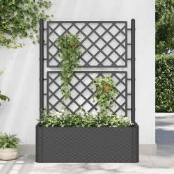 Lit surélevé de jardin treillis système d'arrosage Anthracite alsavelo